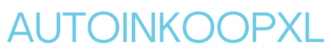 Auto inkoop XL